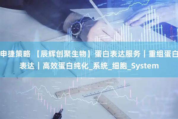 申捷策略 【辰辉创聚生物】蛋白表达服务｜重组蛋白表达｜高效蛋白纯化_系统_细胞_System