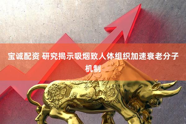 宝诚配资 研究揭示吸烟致人体组织加速衰老分子机制